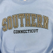 F- Vintage Champion Reverse Weave Southern Connecticut Crewneck