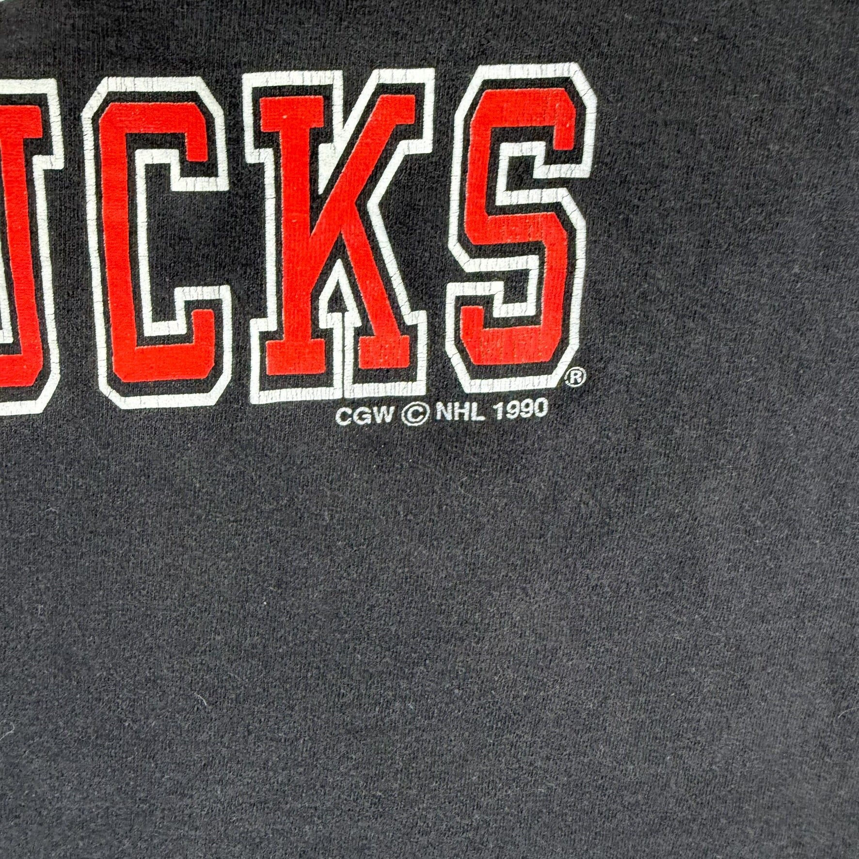 F- Vintage '90 Vancouver Canucks NHL Graphic Hanes Single Stitch Made In USA Tee