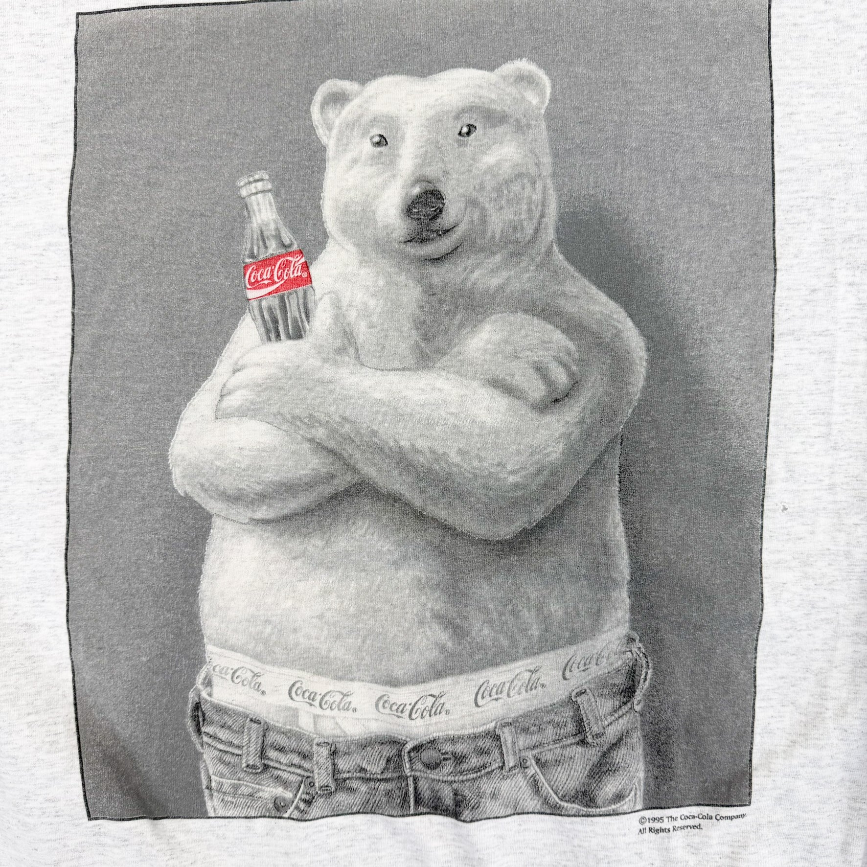 F- Vintage '95 Coca Cola Polar Bear Picture Made In USA Hoodie