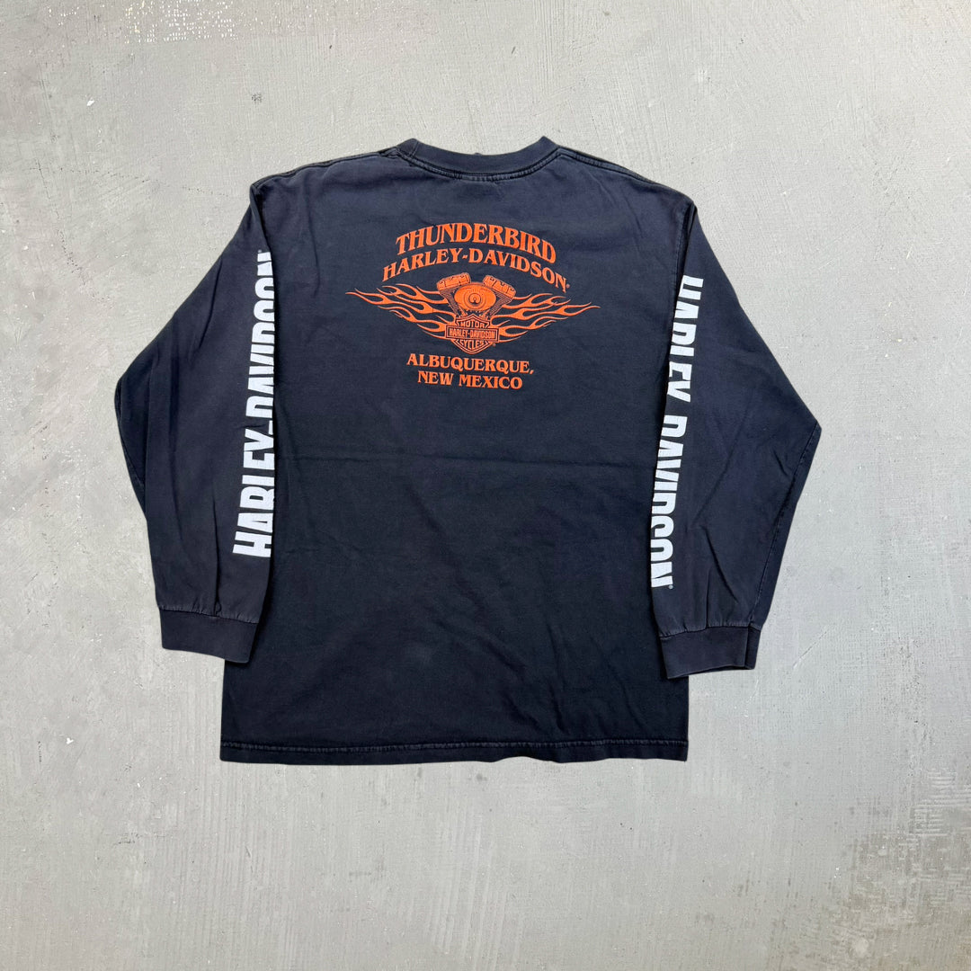 F- '09 Harley Davidson Albuquerque New Mexico Long Sleeve Tee