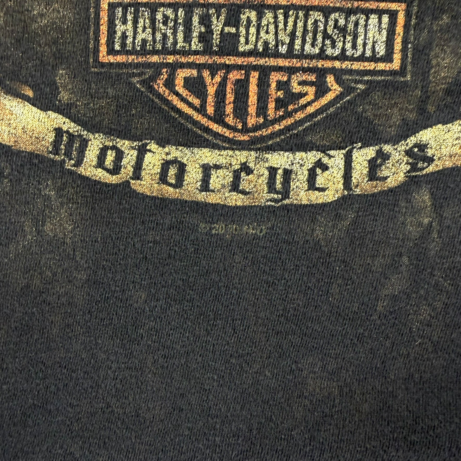 F- '10 Harley Davidson Scottsdale Arizona Graphic Tee