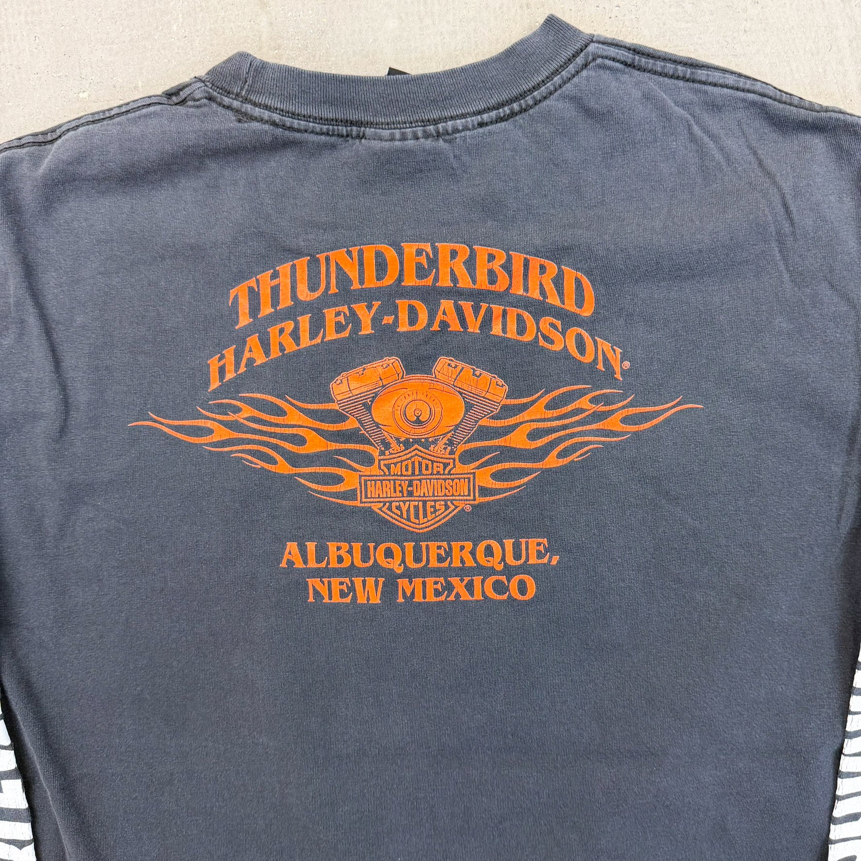 F- '09 Harley Davidson Albuquerque New Mexico Long Sleeve Tee