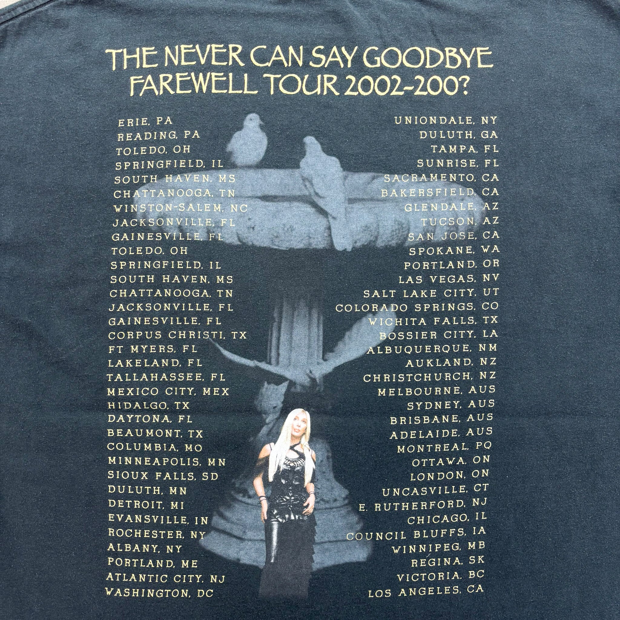 F- Vintage '02 Cher Never Can Say Goodbye Tour Picture Tee