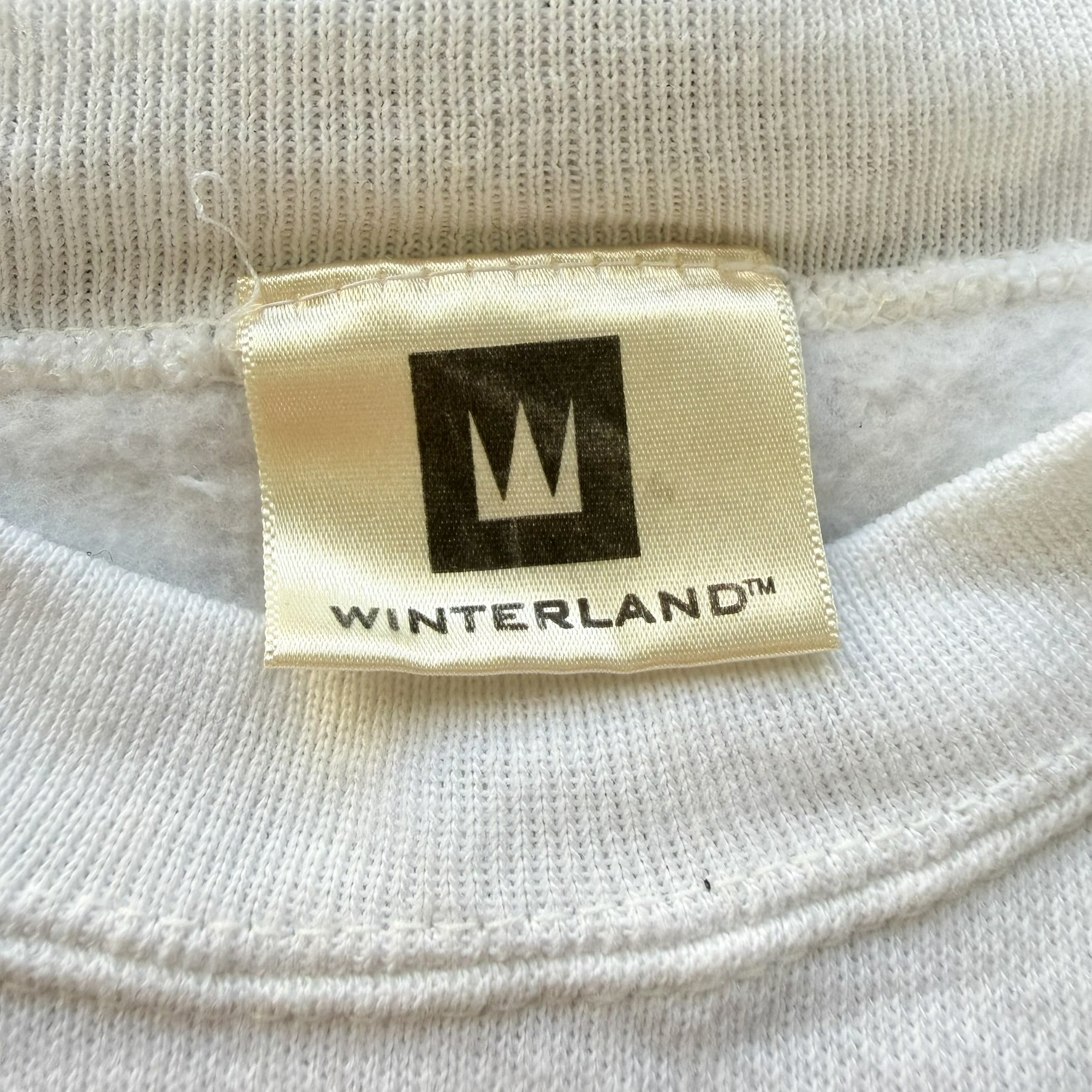 F- Vintage '00 Backstreet Boys Picture Crewneck