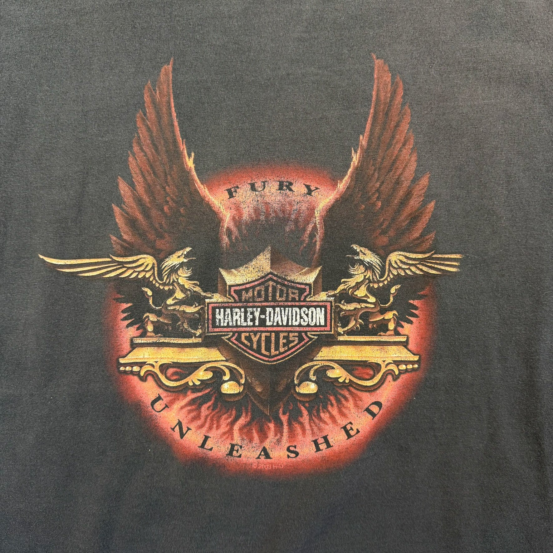 F- Vintage '03 Harley Davidson Edmonton Canada Graphic Tee