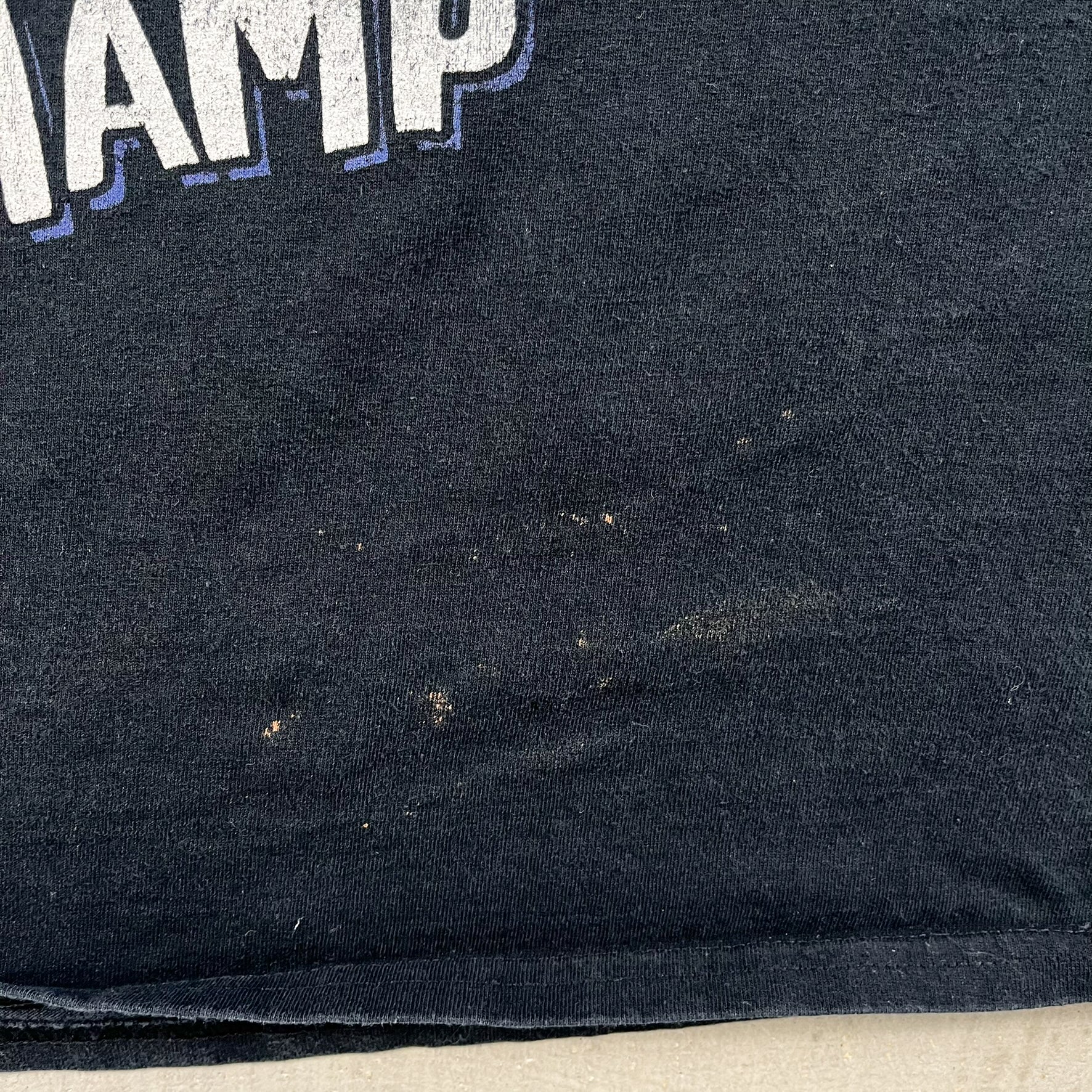F- Vintage WWE The Rock The People's Champ Picture Tee