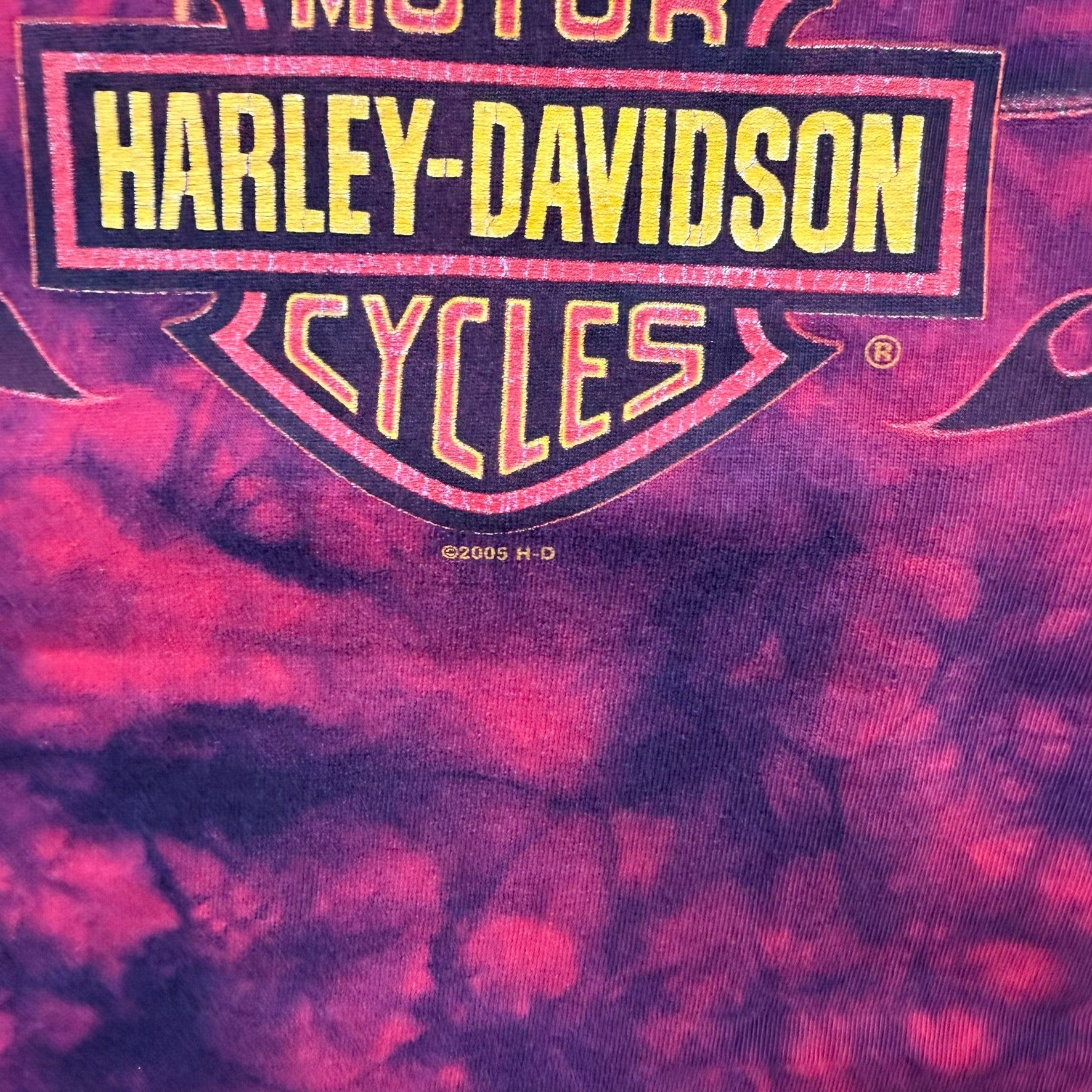 F- Vintage '05 Harley Davidson Savannah Acid Wash Made In USA Single Stitch Tee