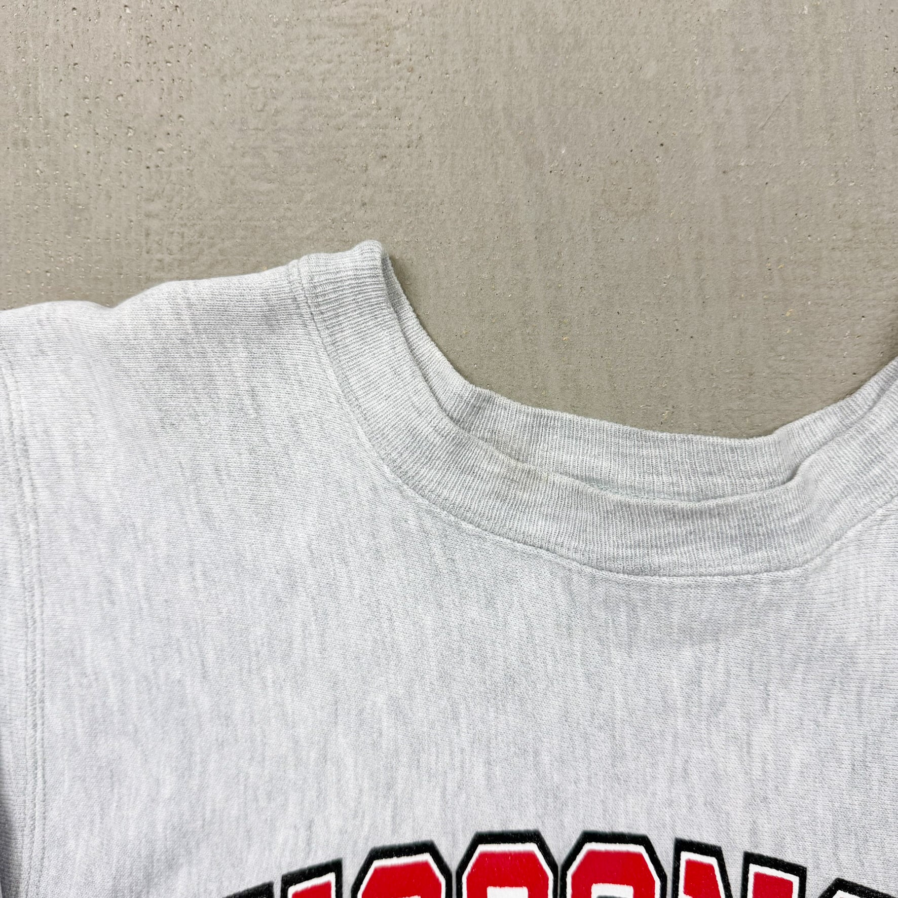 F- Vintage 90s Champion Reverse Weave Wisconsin Badger Made In USA Crewneck