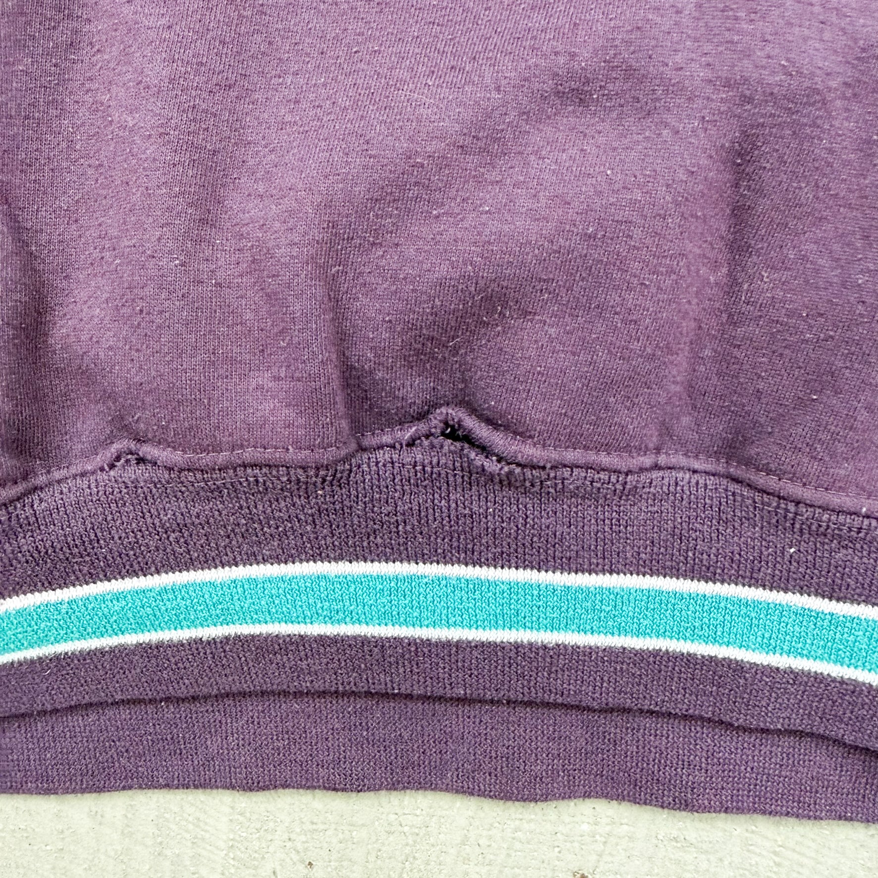 F- Vintage Anaheim Mighty Ducks NHL Starter Embroidered Text Hoodie